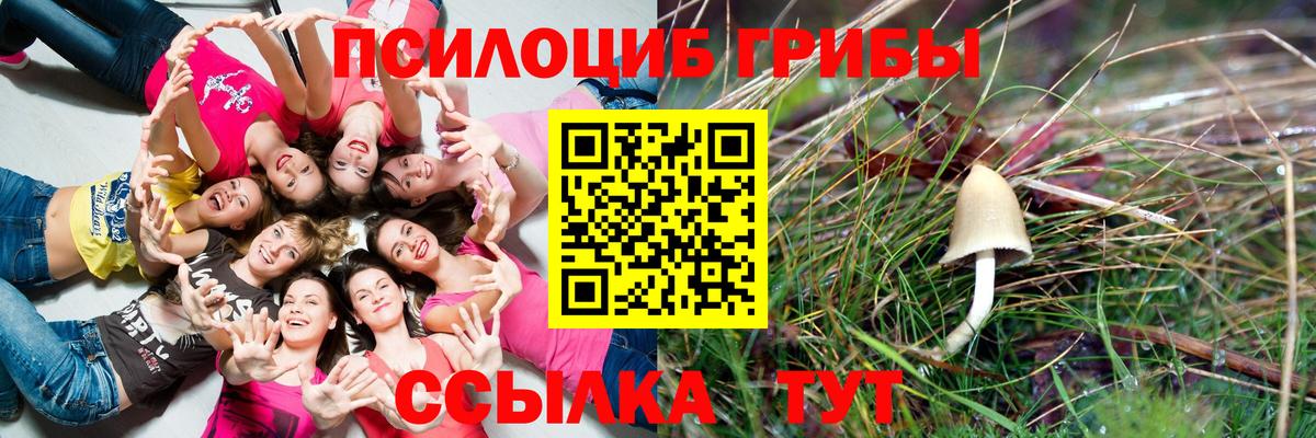 Псилоцибиновые грибы прущие грибы  Вход с VPN  Галлюциногенные грибы Magic Shrooms  Карачаевск 