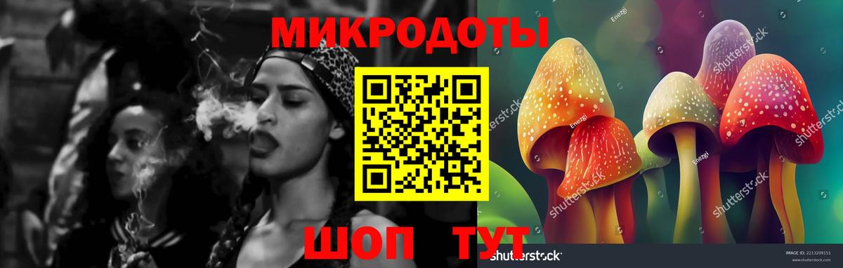 Псилоцибиновые грибы GOLDEN TEACHER Карачаевск