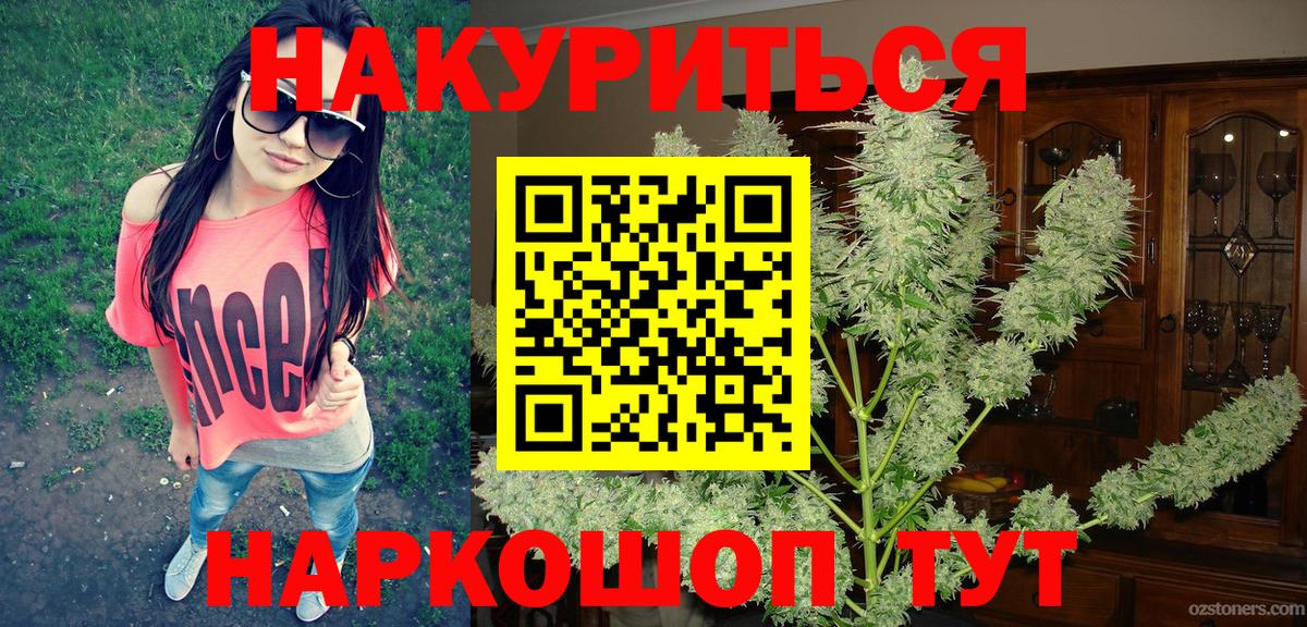 Бошки Шишки планчик  Каннабис SATIVA & INDICA  Вход с VPN  Канабис гибрид  Карачаевск  Бошки марихуана конопля 