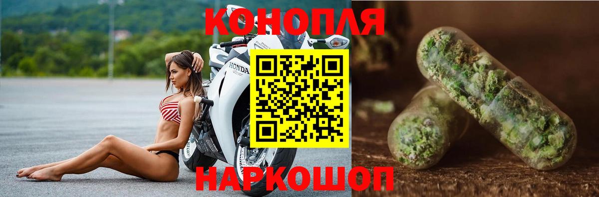 Бошки марихуана OG Kush Карачаевск